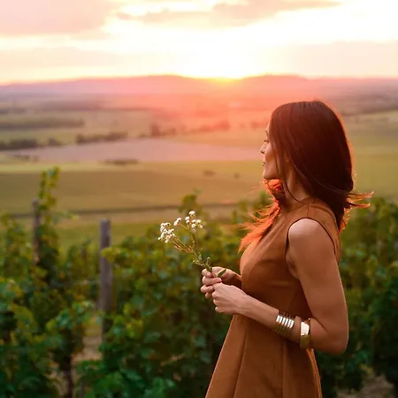 Minaro - Mgallery Collection (adults Only) Tokaj